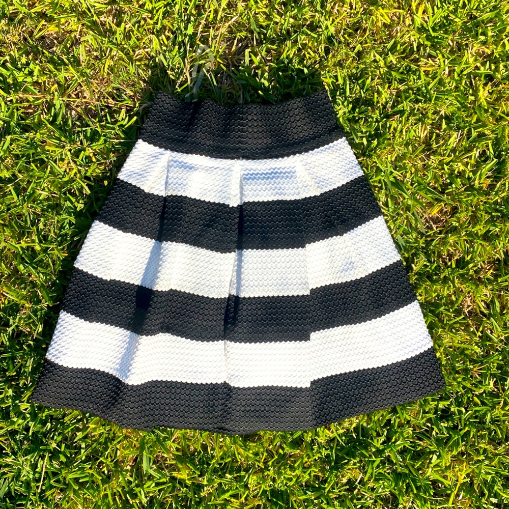 Black and White Skater skirt
